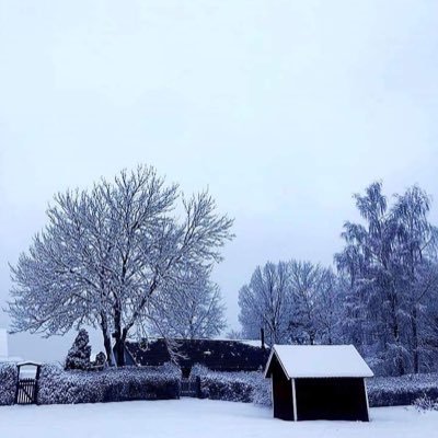 bki__'s profile picture. من سلالة علي ابن ابي طالب رضي الله عنه