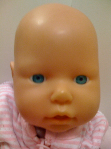 Paulina Pinguinpetzi