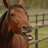 AB_Trav365's profile image