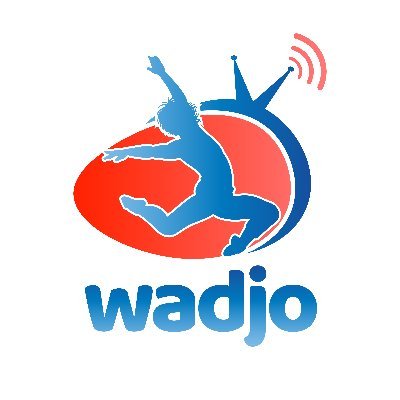 Wadjo TV s'engage à Révéler, Inspirer et Célébrer l'entrepreneuriat, en offrant des programmes de qualité et en mettant en avant les talents entrepreneuriaux