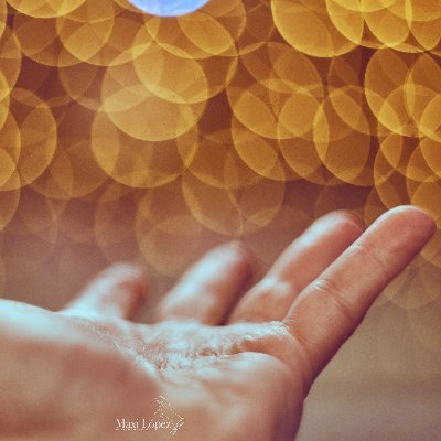 MaxiLopezfoto's profile picture. 