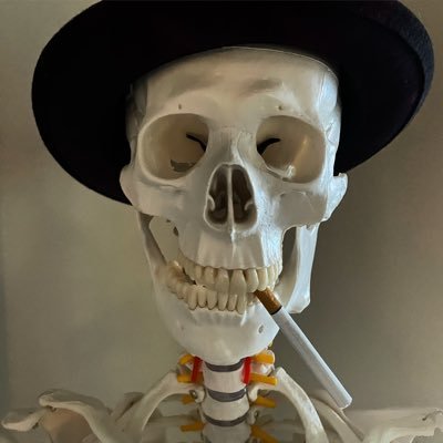 JTSkeleton's profile picture. I am a the bones of my former self