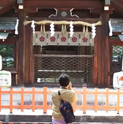takeshiinohana's profile picture. 山静かなること太古の如し