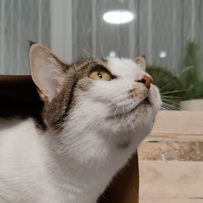 Ivaliiva's profile picture. 🔝