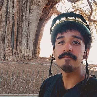 soelromero's profile picture. Ciclista impertinente y estudiante de lingüística y literatura.  Bicimensajero en @cicloenviospue