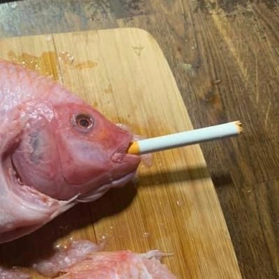 jccuartam's profile picture. Politoloco