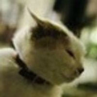 (元)新宿ゴールデン街BOT (@goldengai_bot) 's Twitter Profile