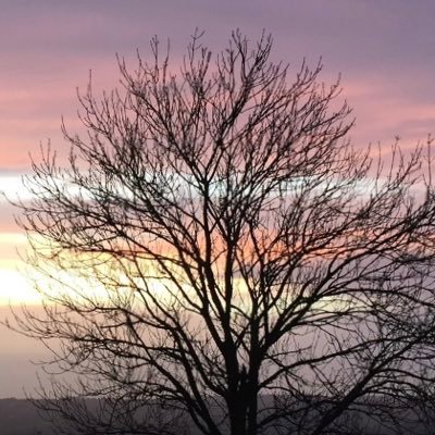 vaseemshaikh2's profile picture. 