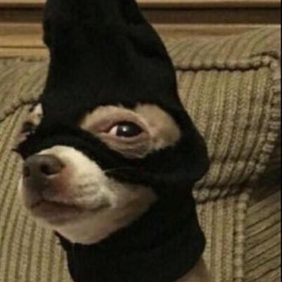 Adriensouza5's profile picture. life is very short, do not care what people think or say about you✨✨