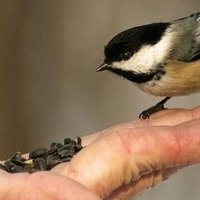 احمد (@ahmd46342963) Twitter profile photo