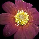 Bailey Knowles - @BaileyK95800955 - Twitter