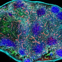Kastenmüller Lab (@kamu_lab) 's Twitter Profile