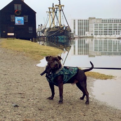 matteverson23's profile picture. I am whatever you say I am...If I wasn't then why would I say I am...I don't know, that's just the way I am. #DogDad #GirlDad #Boston #UNC #BigBrother 🇺🇸🇬🇷