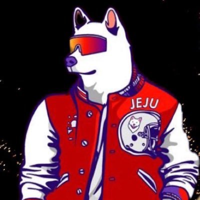 Passionate about Jejudoge and the opportunities it’s creating for people