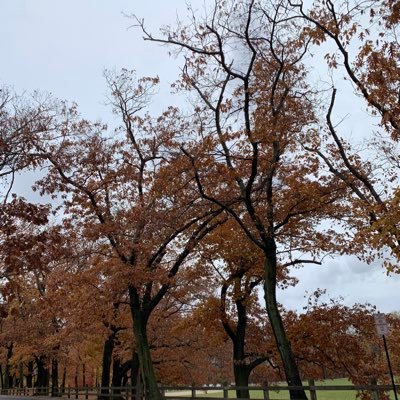 Albert99357178's profile picture.