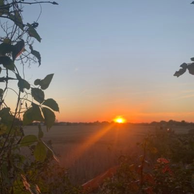 stackthedeck72's profile picture. Animal lover
Superhero fan
feminist
nerd