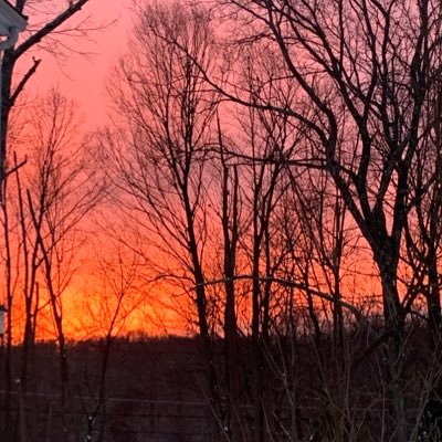 LesNesman5's profile picture. Here for college football only.