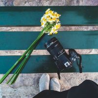 Manizheh_IRAN (@manizhesk) 's Twitter Profile