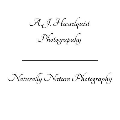 Nature Photographer.  Birds, landscapes, sky.