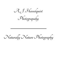 A.J. Hasselquist Photographer(@nat_nat_photo) 's Twitter Profile Photo