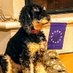 jamjar #FBPE (@patrjam) Twitter profile photo jamjar #FBPE (@patrjam) Twitter profile photo
