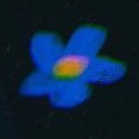 semoyed (@semoyed) 's Twitter Profile Photo semoyed (@semoyed) 's Twitter Profile Photo