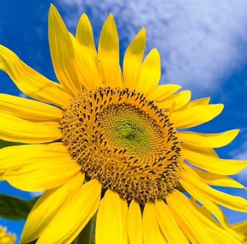 加藤絵美 1919emi Twitter