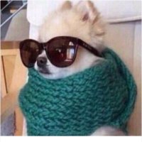 Sonja (@sonja4747) 's Twitter Profile Photo