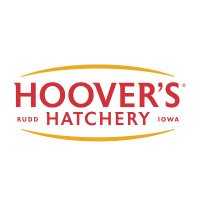 Hoover's Hatchery® (@hoovershatchery) 's Twitter Profile