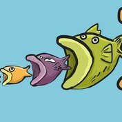 HZcryptonite's profile picture. Seeking zen in Crypto.

应无所住 而生其心

liquidated on 10.10 / 10.11 on a 1.5x leverage on Bybit. lost $20,000. Any help to move forward is much appreciated