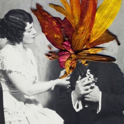 danookee's profile picture. 👩🏻‍💻 photobook publicist | photography editor