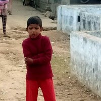 Md Imran Alam (@mdimran33181911) 's Twitter Profile