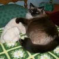 Charlotte Curtis (@charlot06873799) 's Twitter Profile Photo