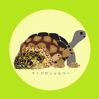 レモン作家氏のヒョウモンfarm(仮) (@kinchantortoise) 's Twitter Profile