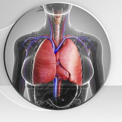Informacion y recomendaciones para rehabilitar funciones  pulmonar,  y condicion fisica en general, despues de Covid-19