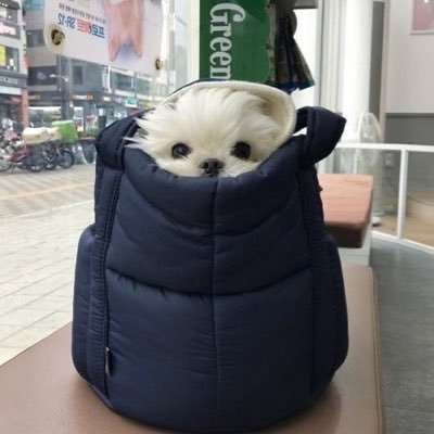 papalalalsllslalaさんのプロフィール画像