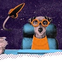 Muskky (@muskkyfa) 's Twitter Profile