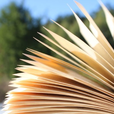 Teaching students to be independent thinkers. Cultivating a life-long love of reading 📚