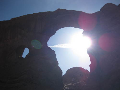 fromfrances's profile picture. Twit nitwit #ing out X and missing the old @TwitterPeeps