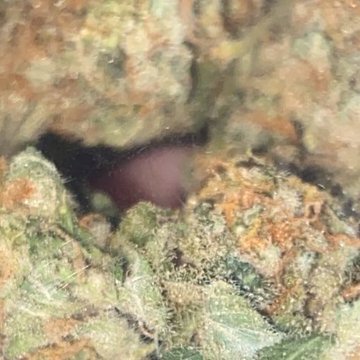 Johnfkboy's profile picture. 