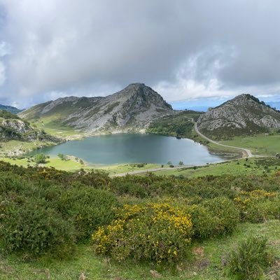 Comodo3791's profile picture. Crítico y desencantado. No vacunado por la gracia De Dios.