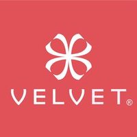 Velvet Eyewear®(@velveteyewear) 's Twitter Profileg