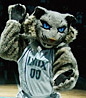 Hi, I'm Prowl, the Minnesota Lynx mascot who loves to dunk and get the crowd roaring!
