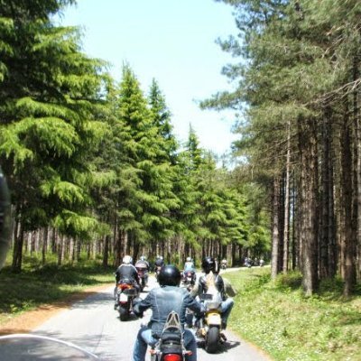 LoreluiFede's profile picture. Siamo tutti apprendisti in un mestiere
dove non si diventa mai maestri .
La Vita.
Ernest Hemingway