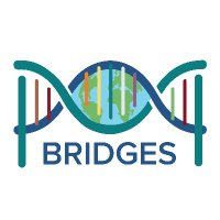 BRIDGES NRT (@uazbridges) 's Twitter Profile Photo BRIDGES NRT (@uazbridges) 's Twitter Profile Photo