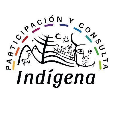 Participa y lleva tus propuestas a los encuentros y construyamos una #NuevaConstitución que garantice los derechos y principios indígenas 📄⚖️