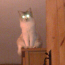 born 1970, mountain biker, lovely Scottish wife & 2 fab cats!