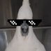 CoolCockatoo (@coolcockatoos) Twitter profile photo CoolCockatoo (@coolcockatoos) Twitter profile photo