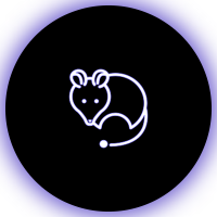 Ratos Tourneys (@ratostourneys) 's Twitter Profile