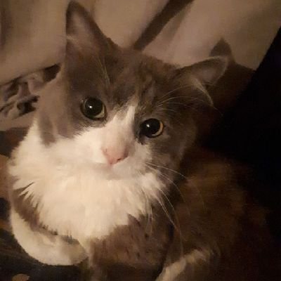mtacunac's profile picture. 
